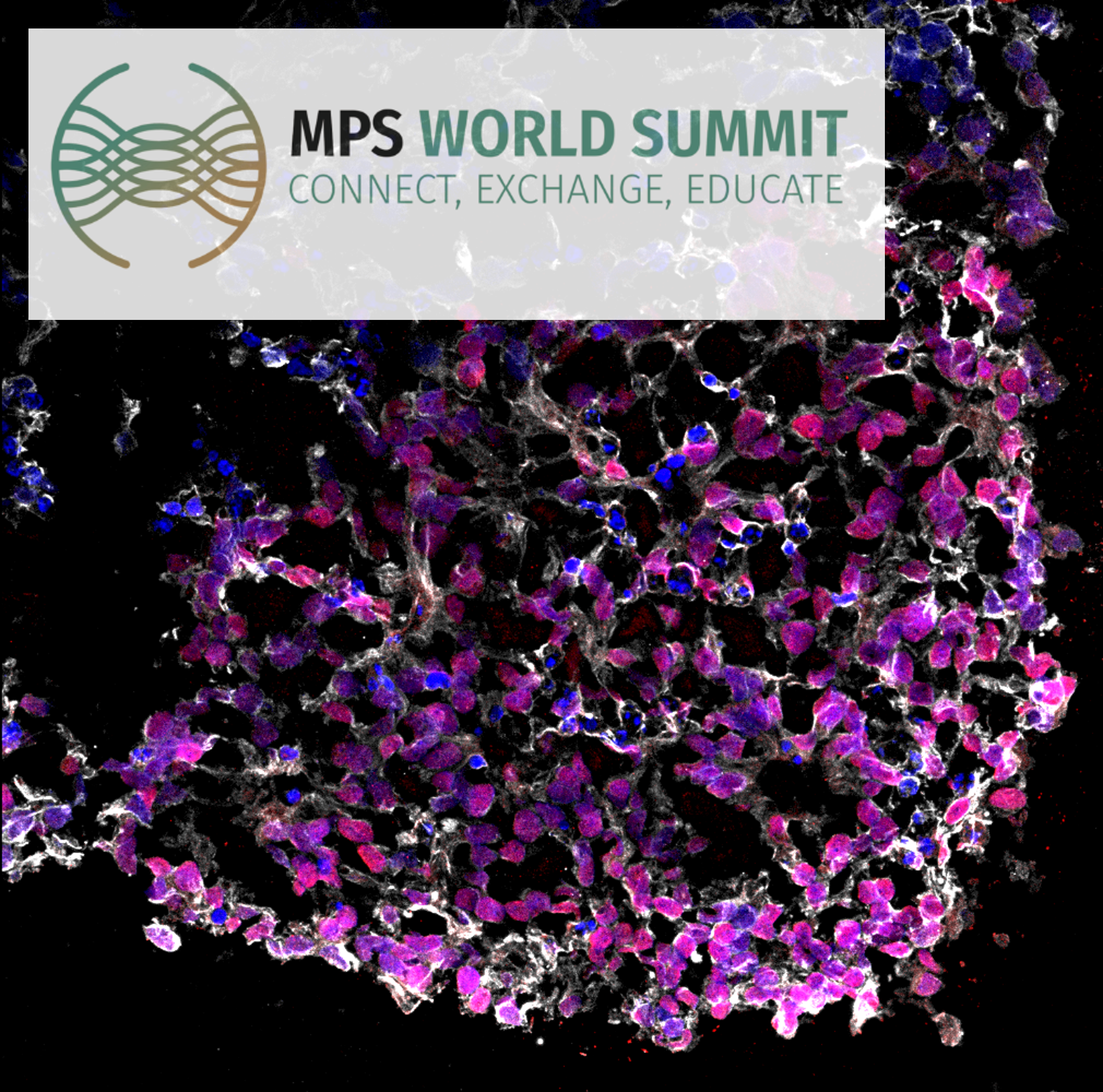MPS world summit